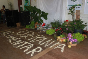 Soberania alimentar 