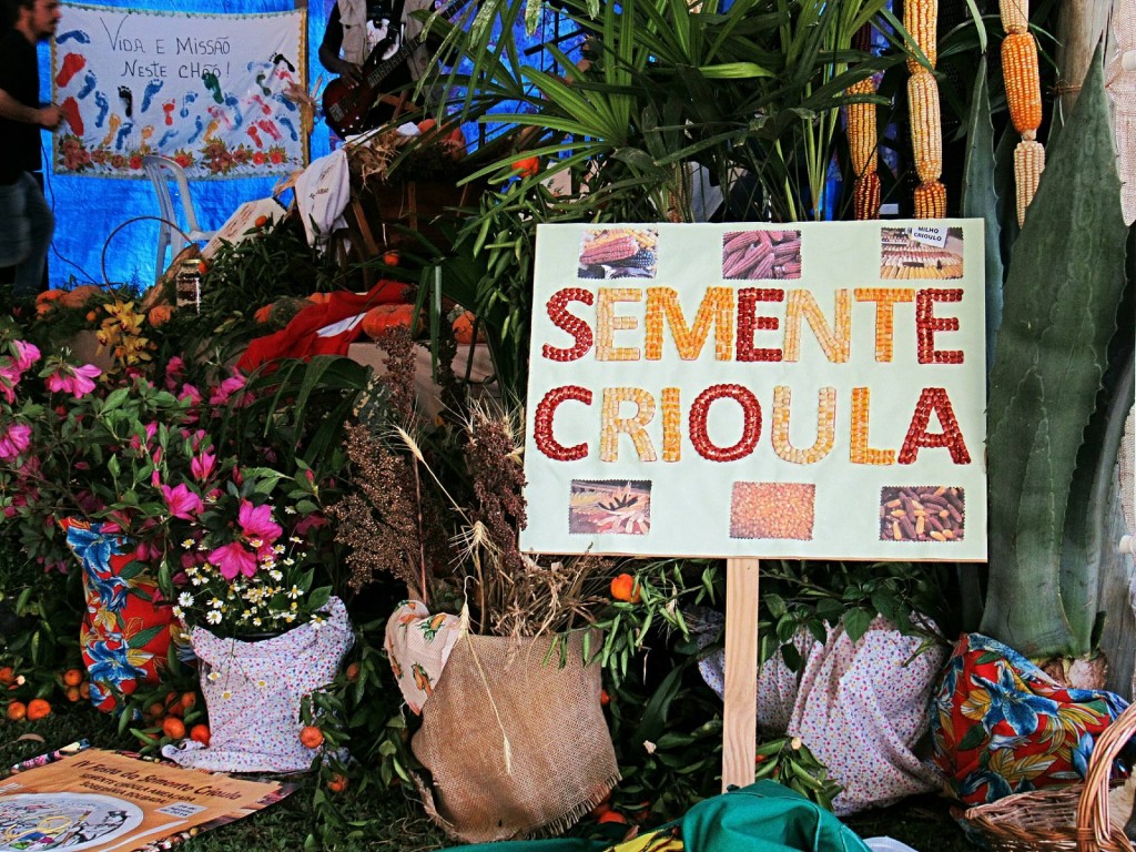 Feira de sementes Mandiritiba (28_08_2016) Fotos Mônica Andrade Luz (1)