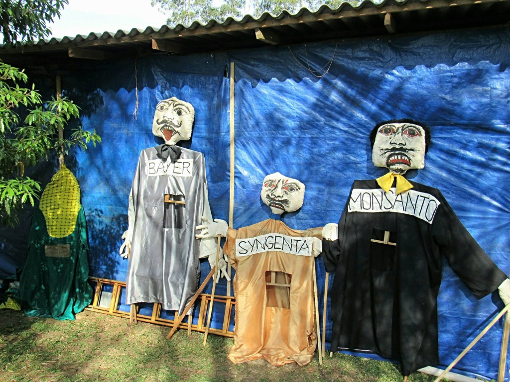Feira de sementes Mandiritiba (28_08_2016) Fotos Mônica Andrade Luz (5)